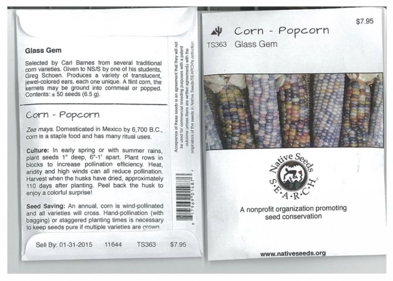 glass-gem-corn-seeds