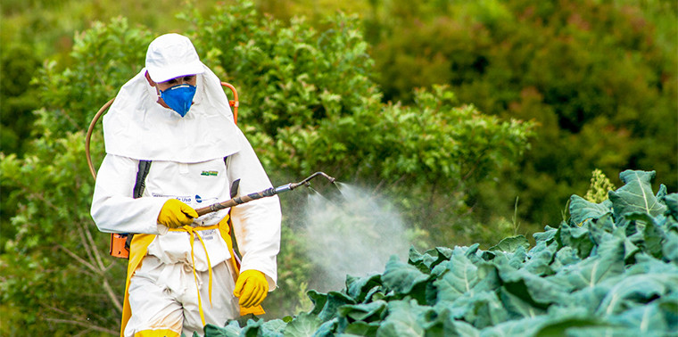  Lagi Petani Meninggal Saat Aplikasi Pestisida Adakah 