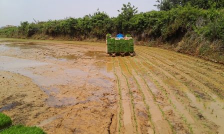 Teknologi Pertanian Jepang