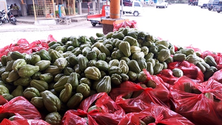 Harga Sayur Boleh Murah/Anjlok, Tapi Petani Bisa Tetap Untung Kok ! Asalkan Tahu Tips dan Trik Berikut
